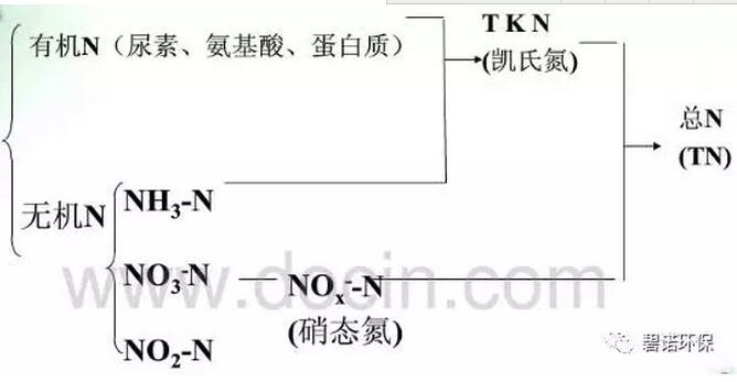 污水處理——深入淺出談氨氮